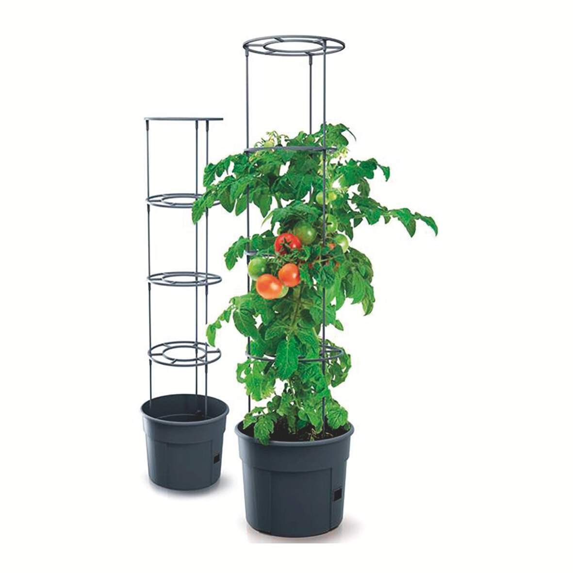 Tomatentopf mit Rankhilfe DM 29,5 cm