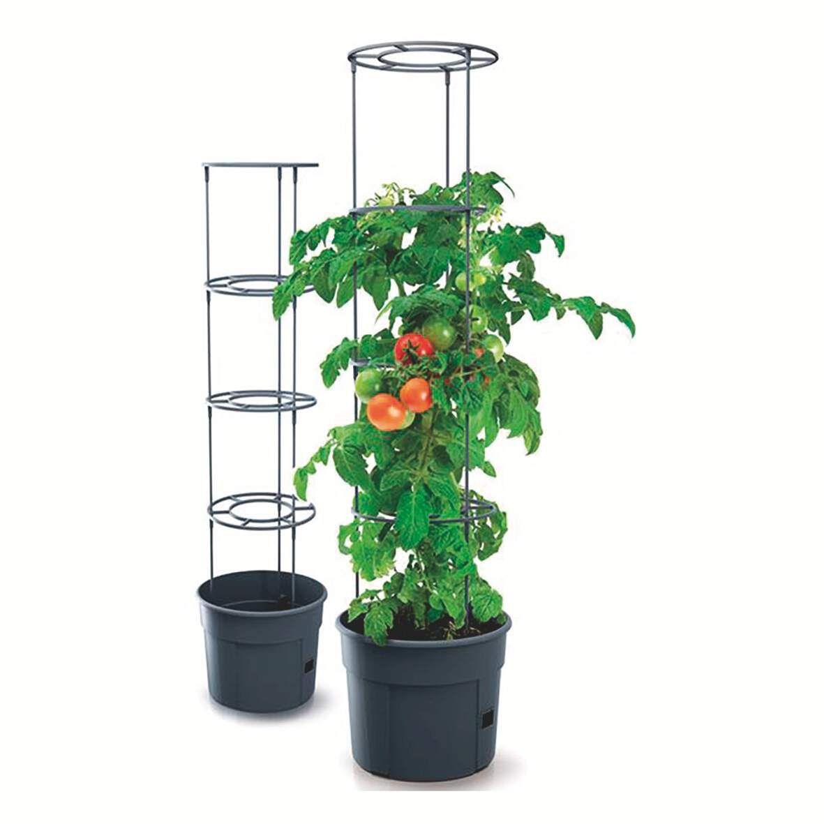 Tomatentopf mit Rankhilfe DM 39,2 cm