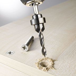 Holzbohrer