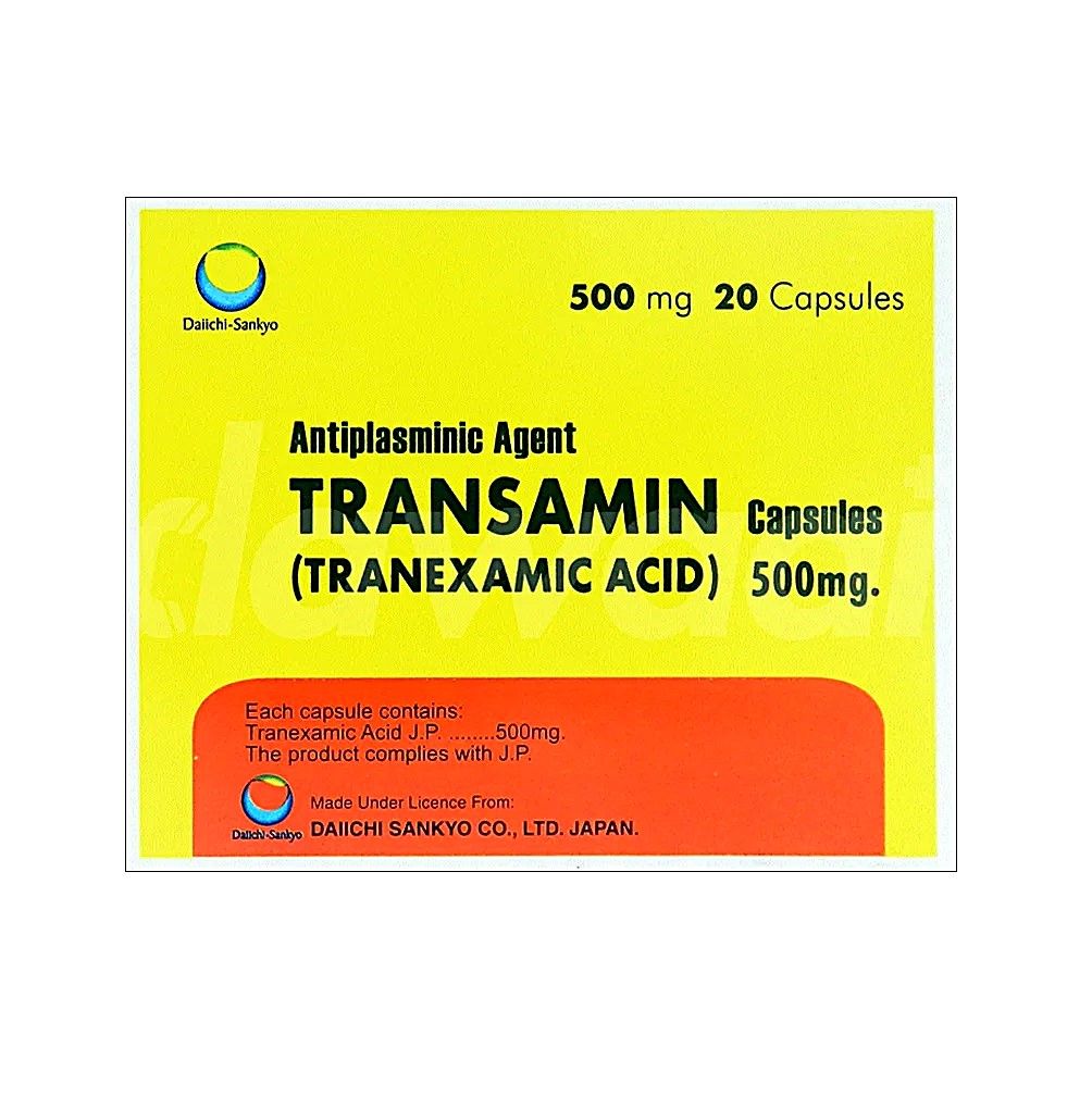 TRANSAMIN CAPSULE 500 MG