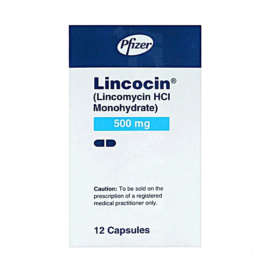 LINCOCIN 500MG CAPSULE