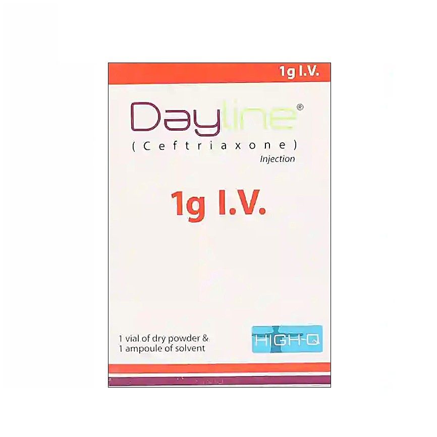 DAYLINE 1 GM INJECTION