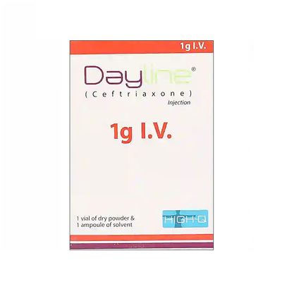DAYLINE 1 GM I.V 1 VIAL INJECTION