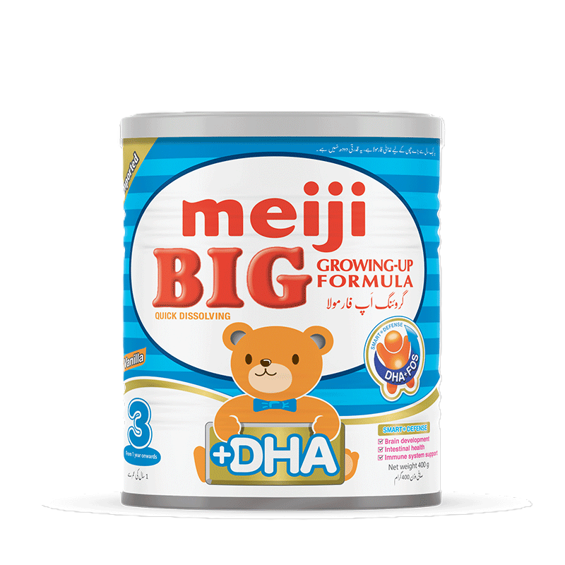 MEIJI BIG 400 GRAMS