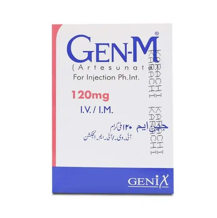 GEN M 120MG IV/IM INJECTION