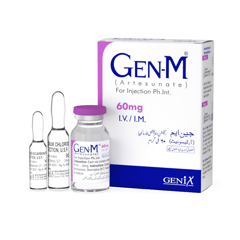 GEN M 60MG IV/IM INJECTION