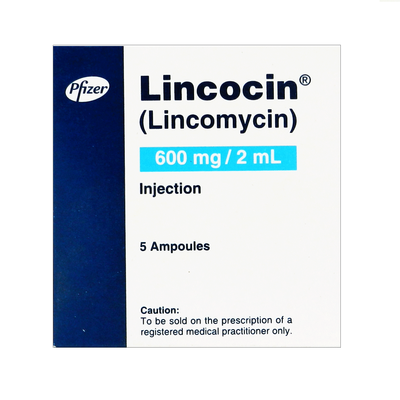 LINCOCIN 600MG 2ML INJECTION