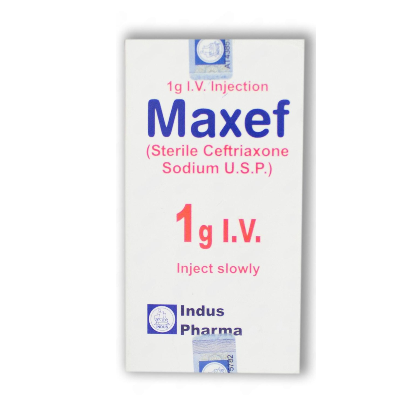 MAXEF IV 1 GRAM INJECTION