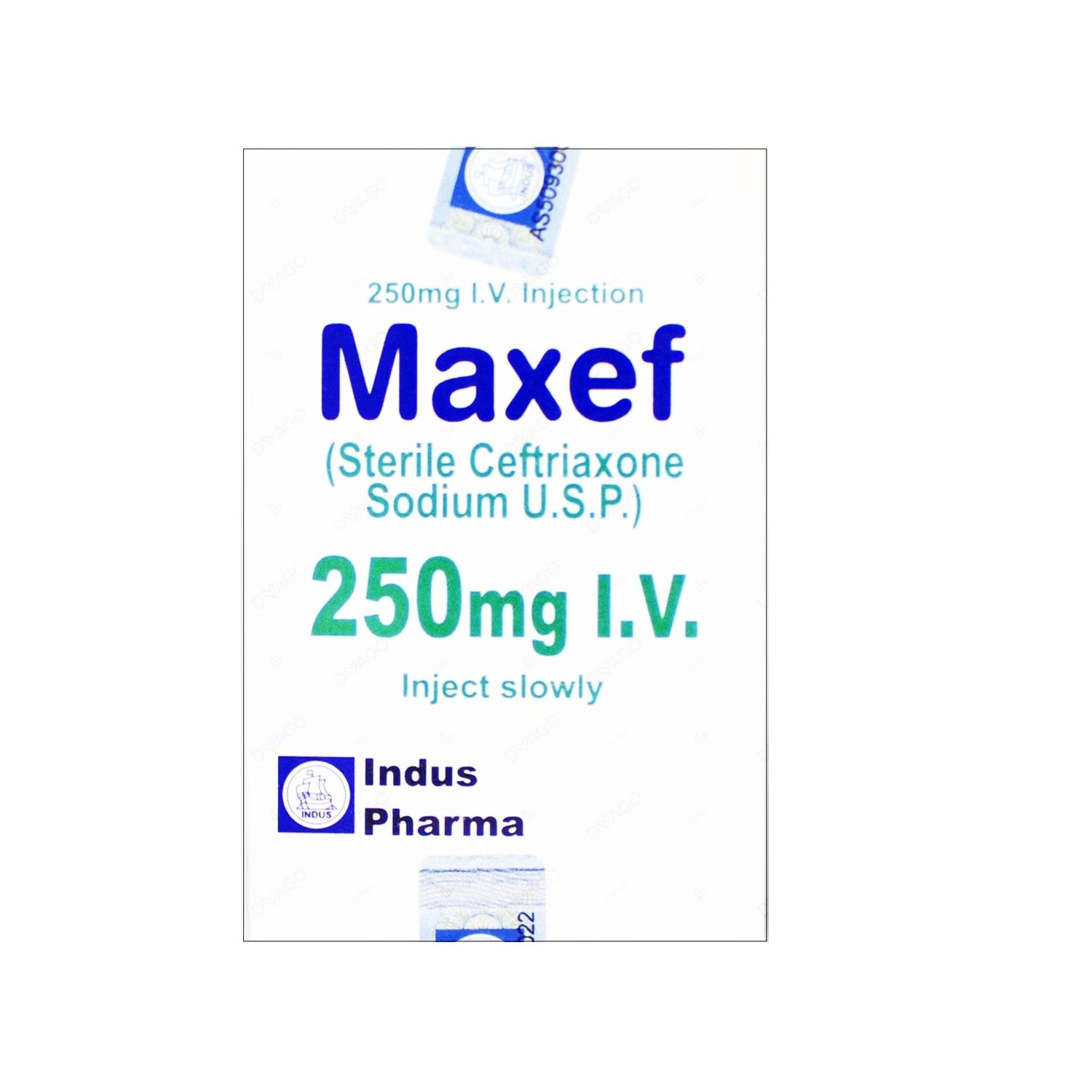 MAXEF IV 250 MG 1 VIAL INJECTION