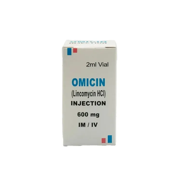 OMICIN 600 MG 2 ML INJECTION