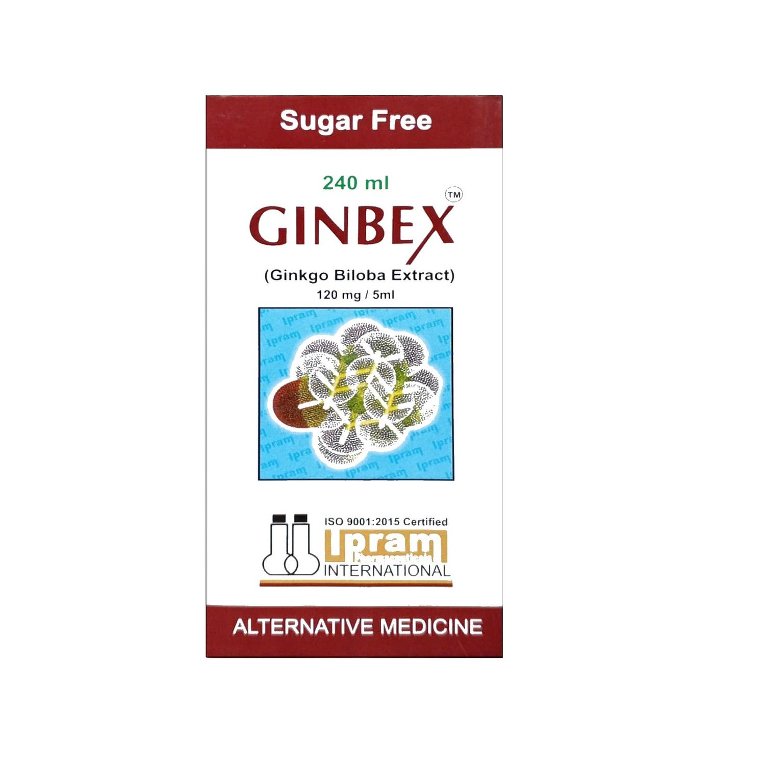 GINBEX 240 ML SYRUP
