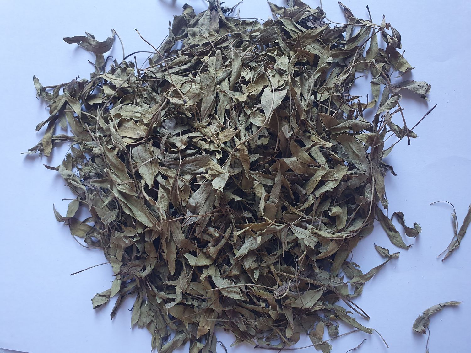 Feuilles de Séné