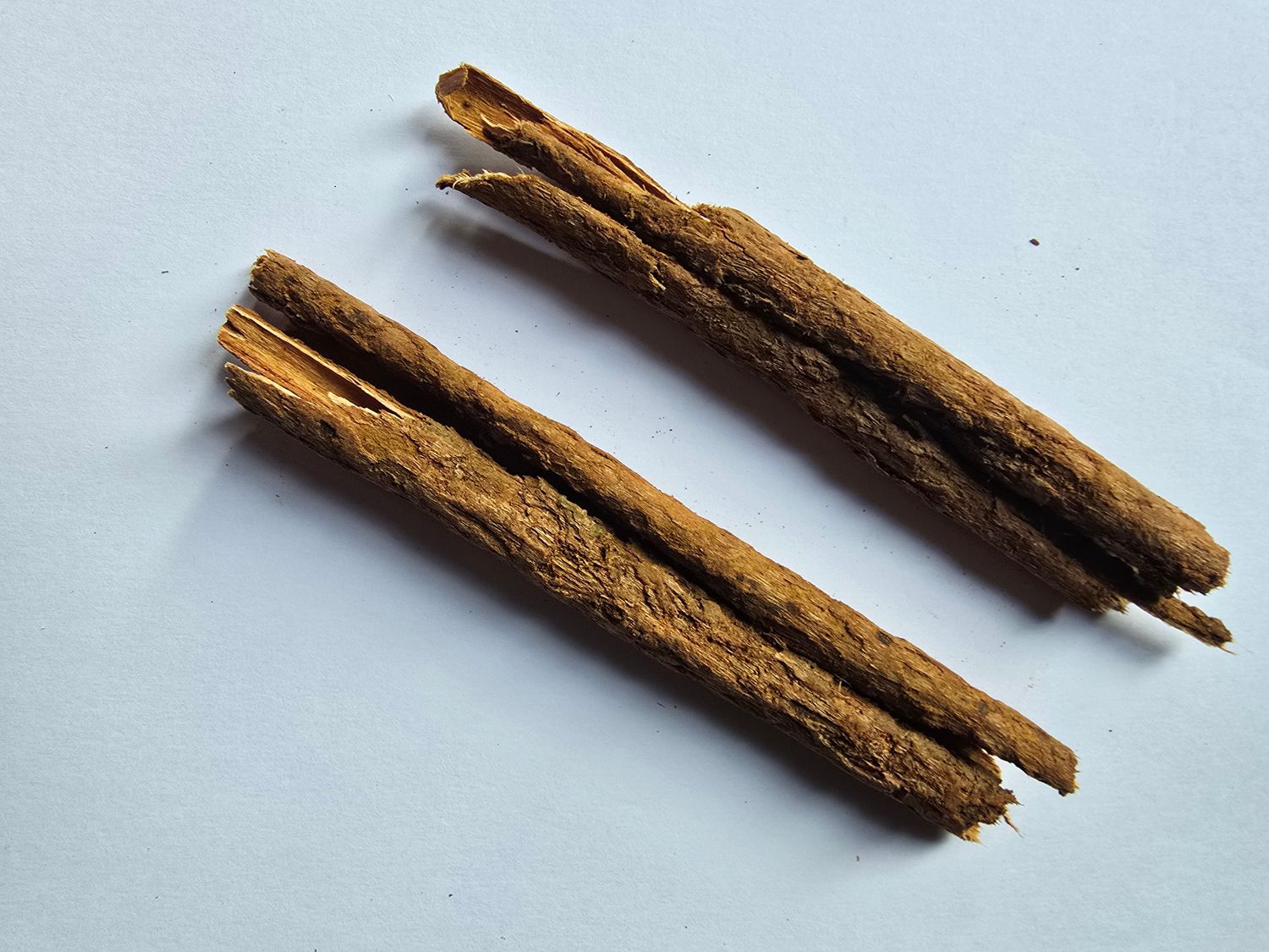 Écorces de Bois bandé