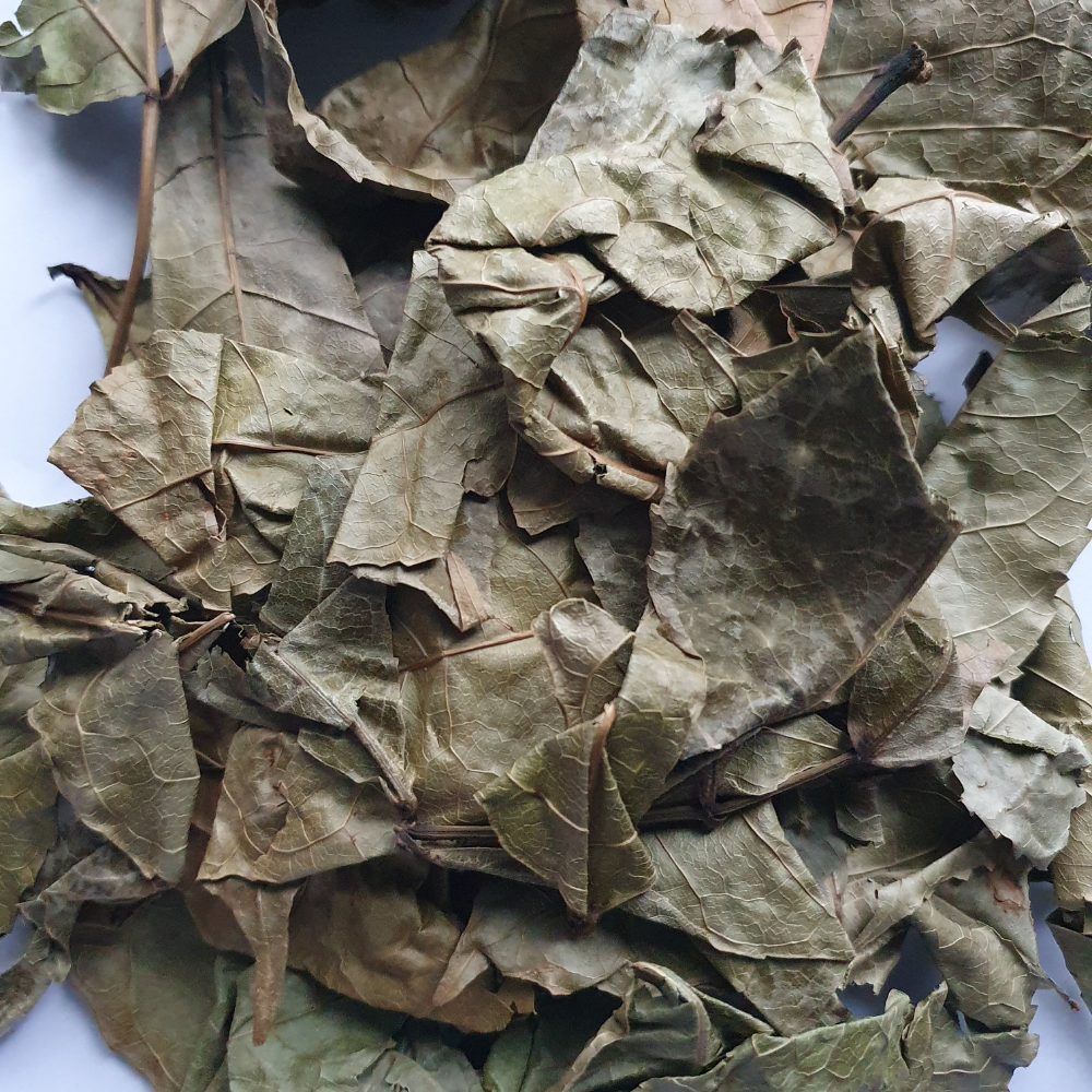 Feuilles d'Hysope Africain Feuilles d'Hysope Africain