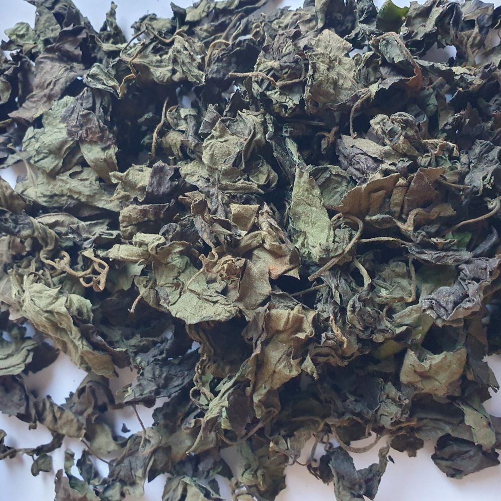 Le Roi des Herbes Le Roi des Herbes