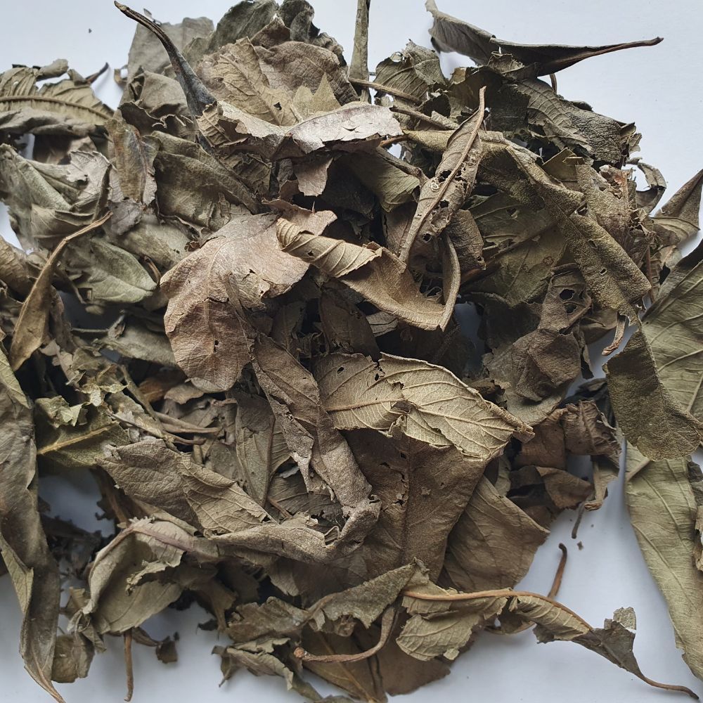 Feuilles de Kinkéliba Feuilles de Kinkéliba