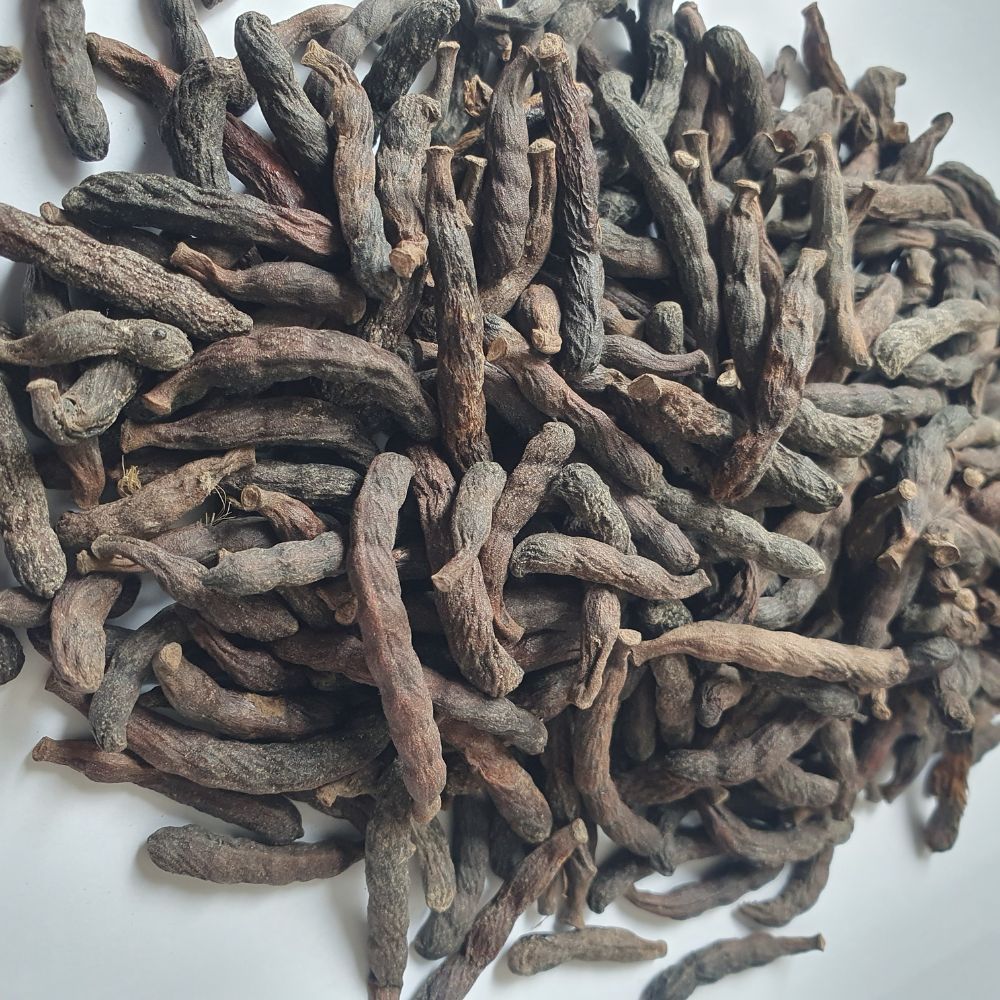 Poivre Long Africain