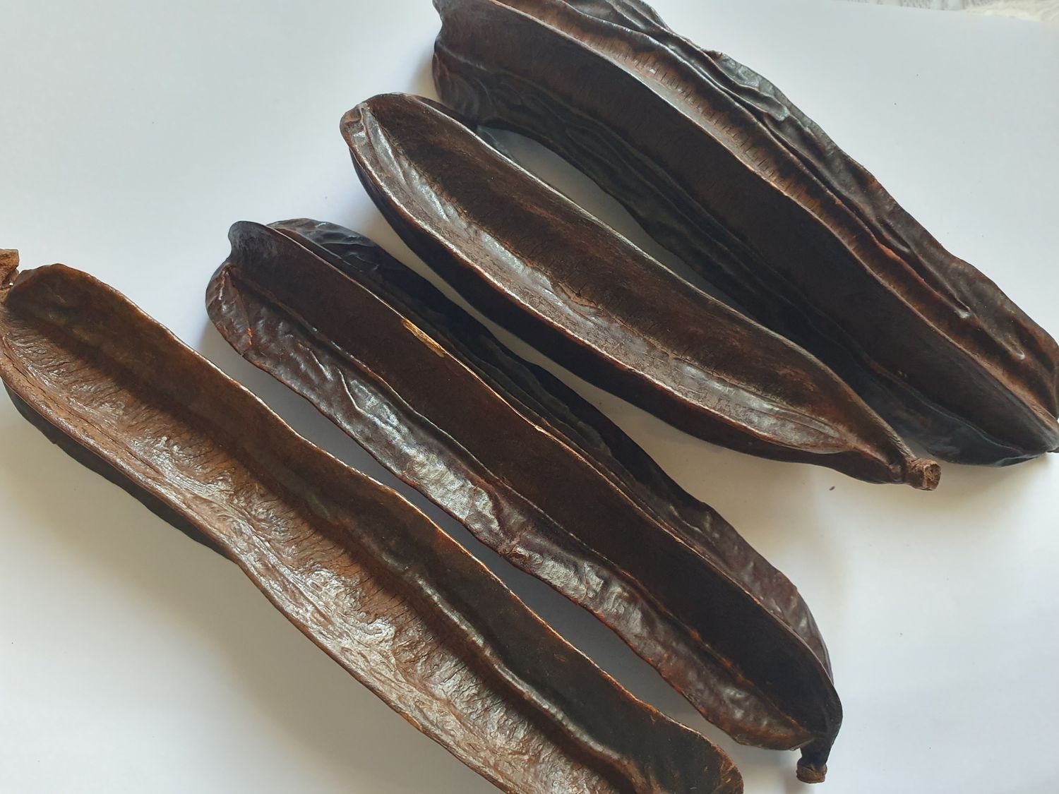 Fruits des 4 côtés