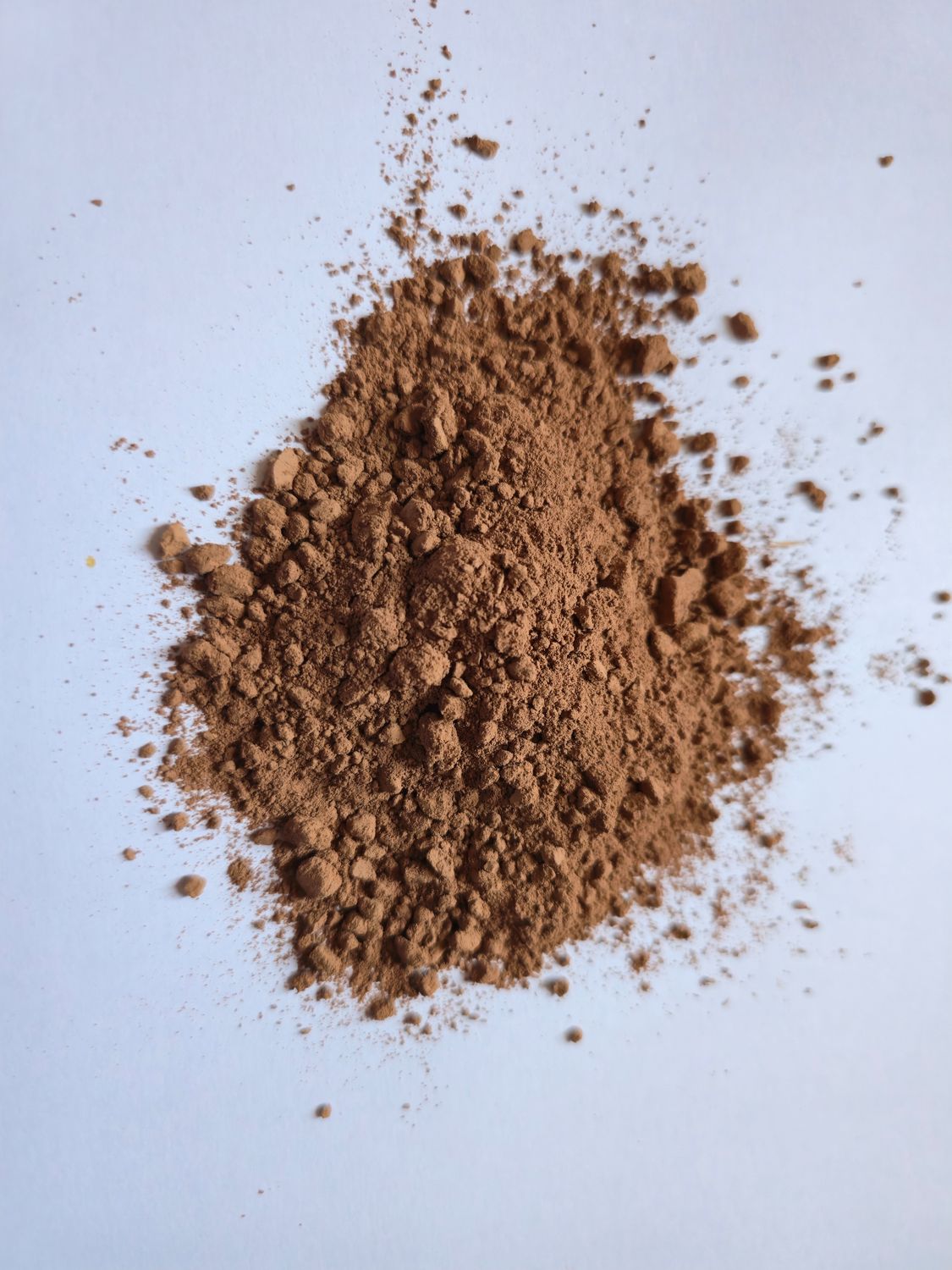 Poudre de cacao à la cannelle de ceylan