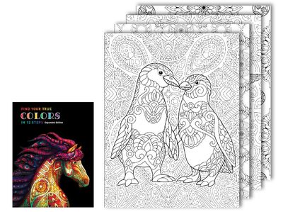 Downloadable Coloring and Workbook Steps 11 & 12
