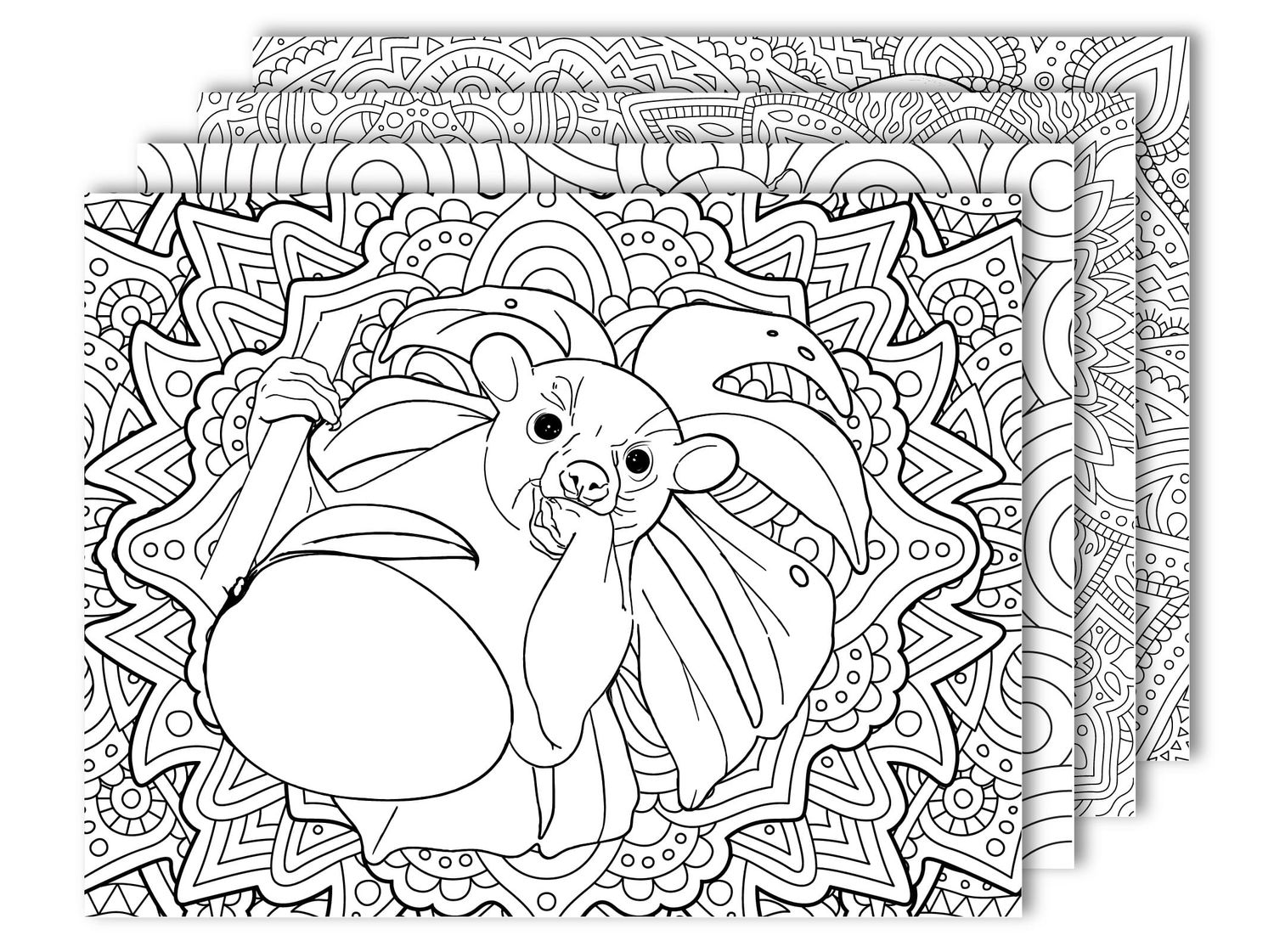 Kinkajou Coloring Pages