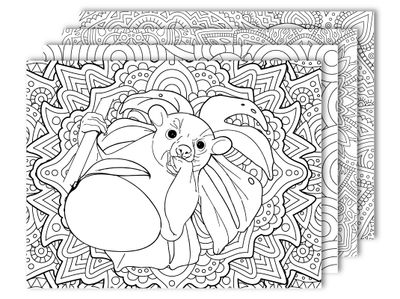 Kinkajou Coloring Pages
