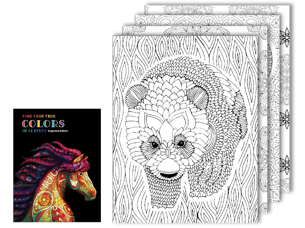 Downloadable Coloring and Workbook Steps 9 & 10