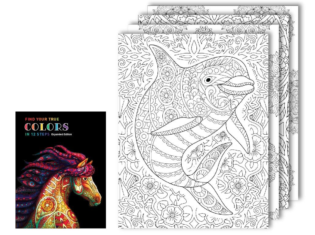 Downloadable Coloring and Workbook Steps 7 & 8