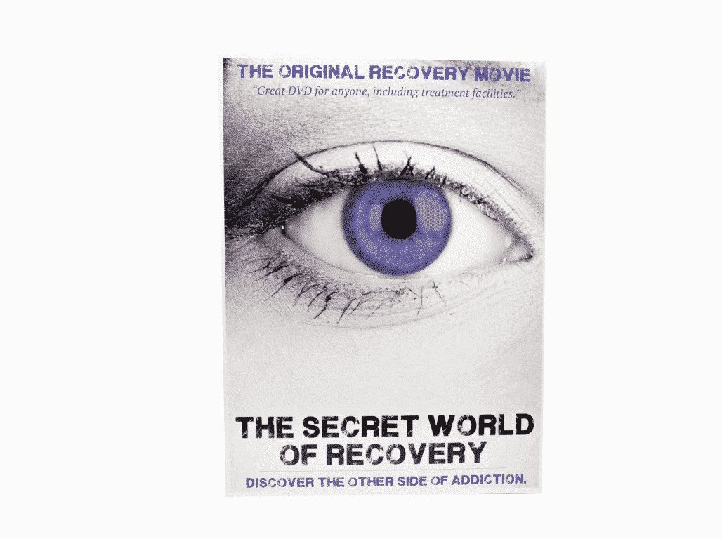 The Secret World Of Recovery DVD