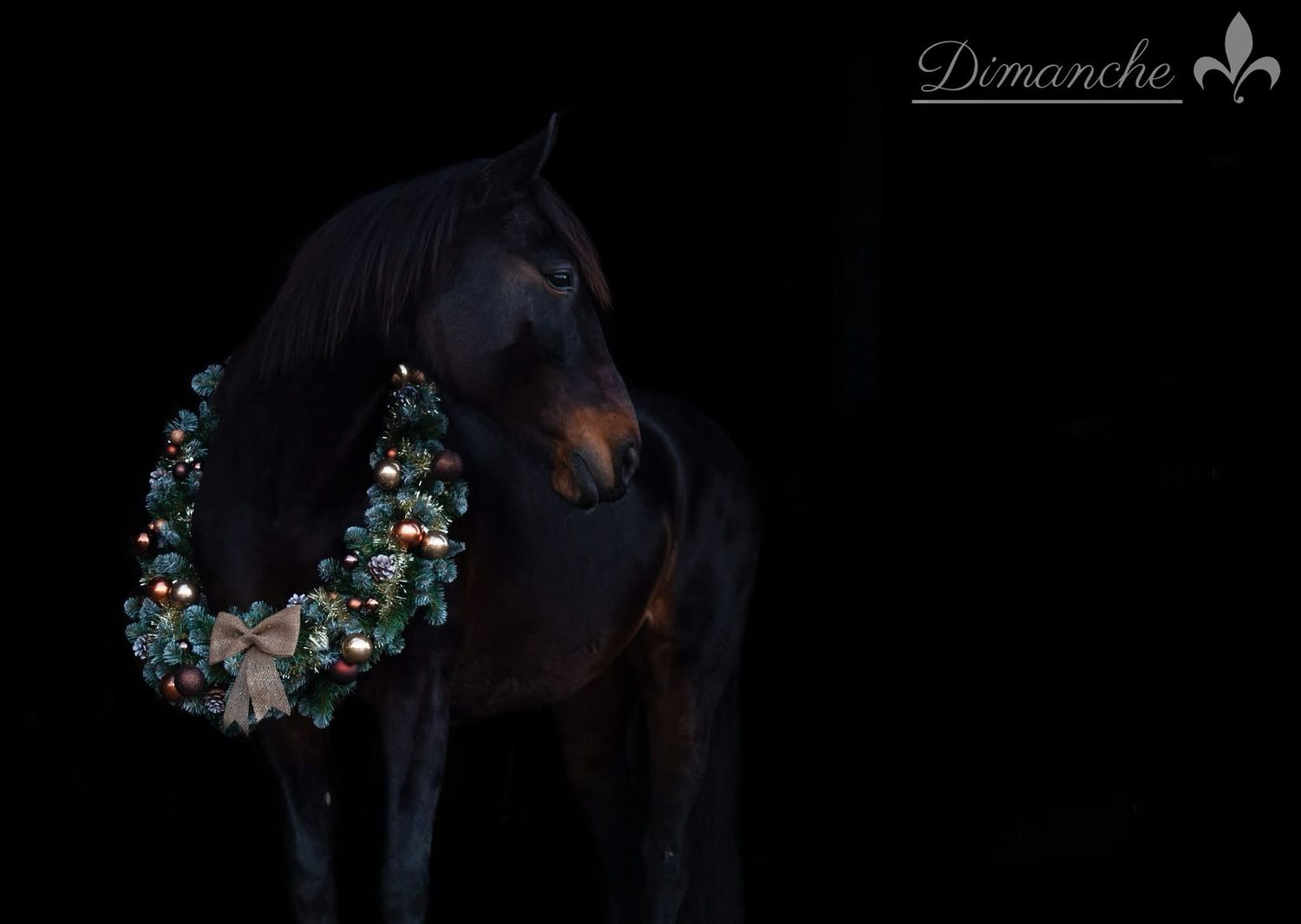 Limited Editie Mixed adventkalender 5 dagen ultieme luxe en mysterie