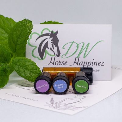 EHBO/Stal Olie set
