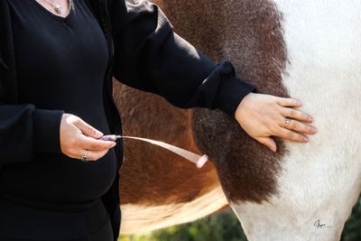 ​Bodymeting &amp; Kruidenmix paard