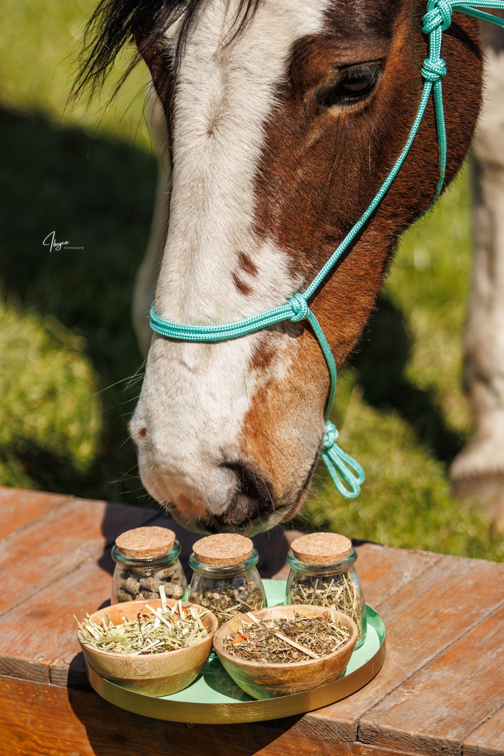 ​Voer, Supplementen &amp; Kruidenmix paard