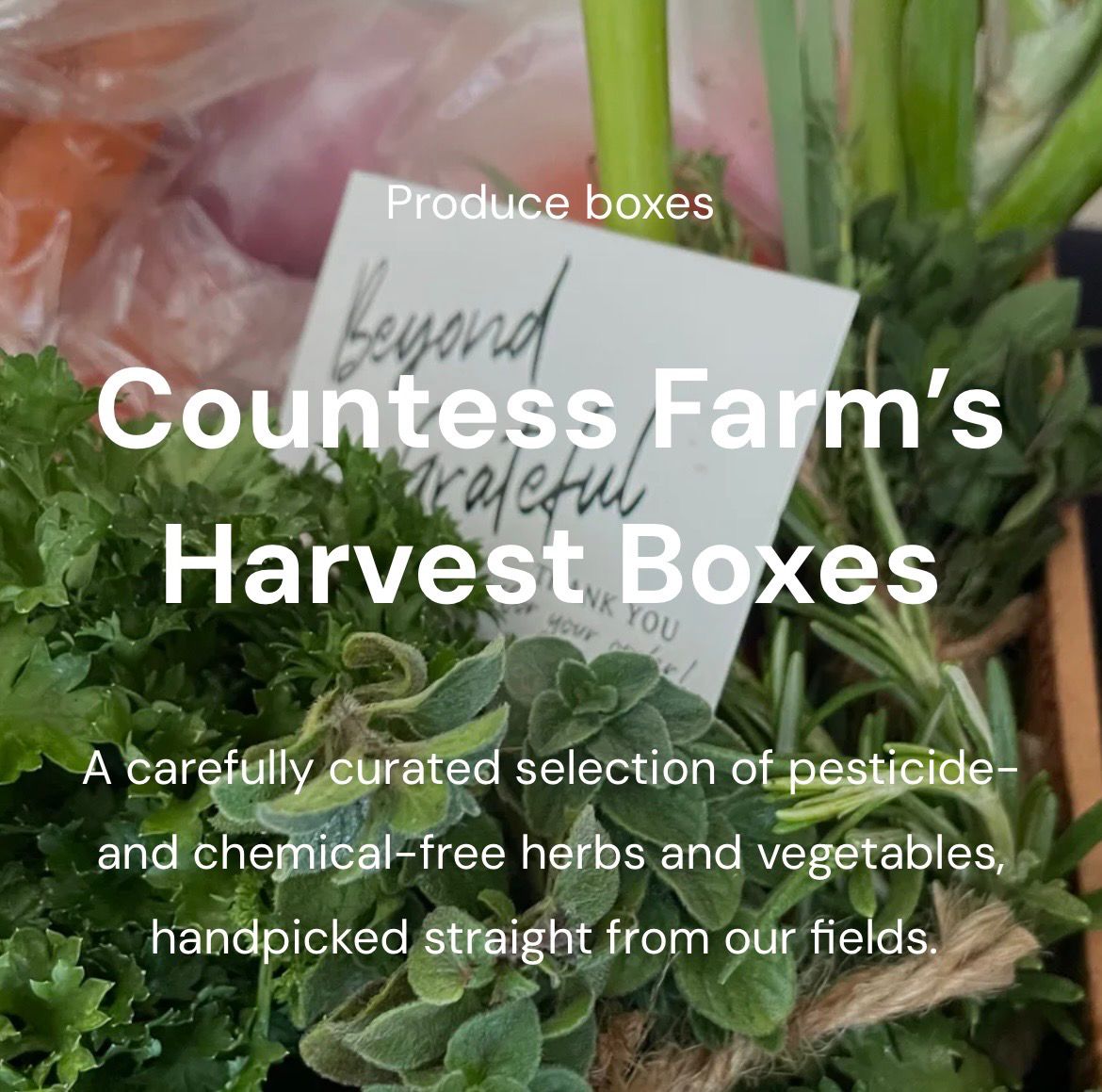 Harvest Box- Subscription