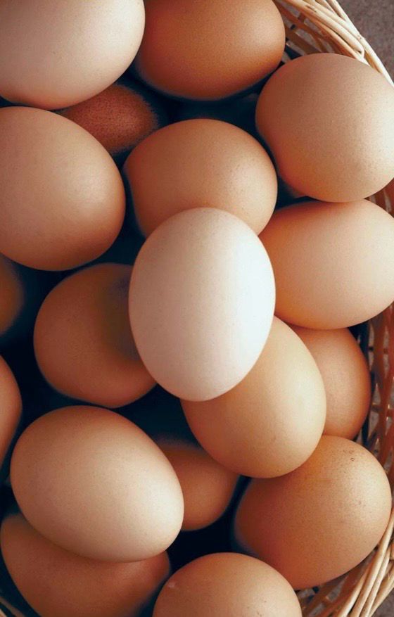 Eggs- Bassano/ Rosemary/ Duchess only