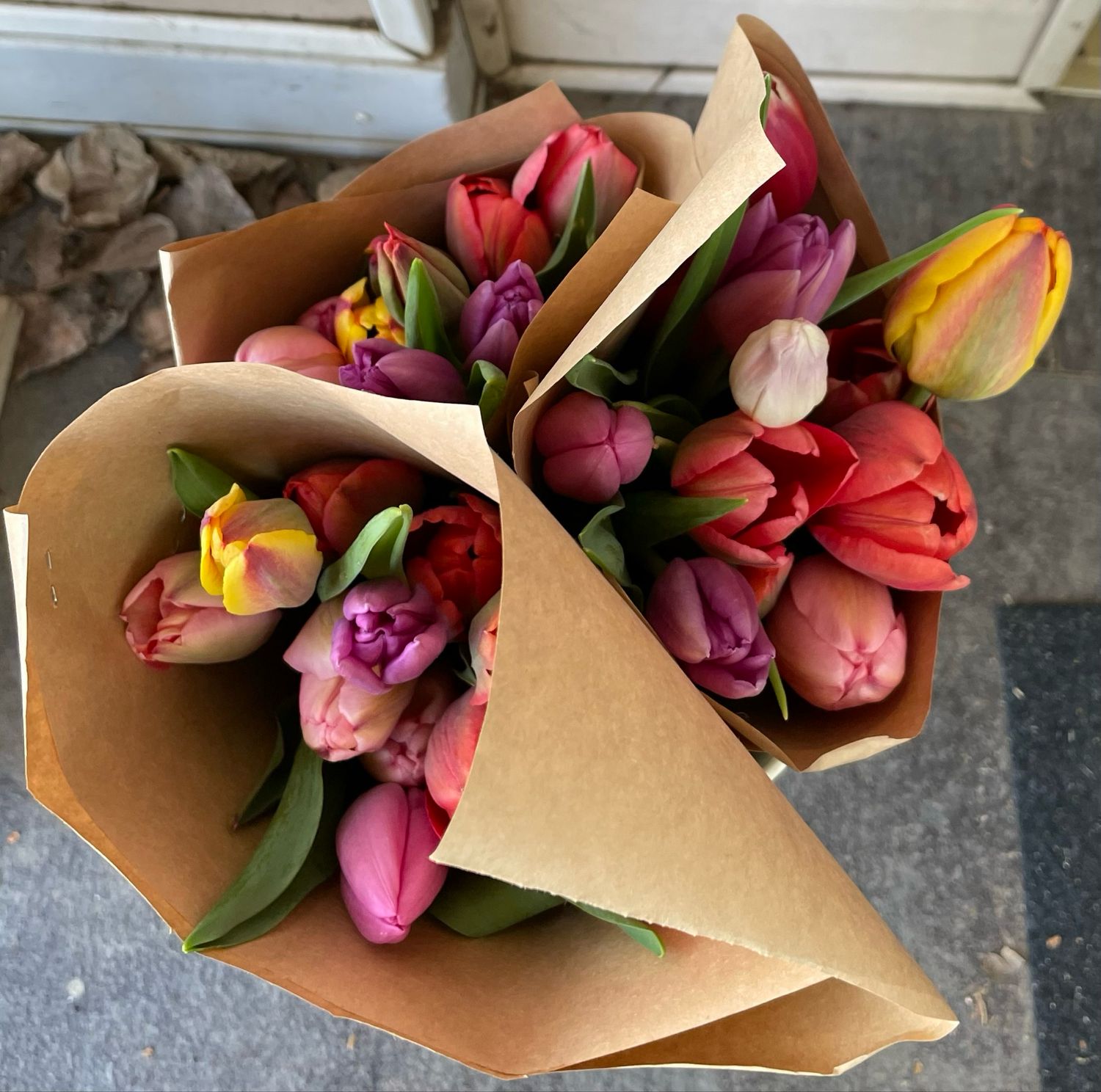 Tulip Bunch