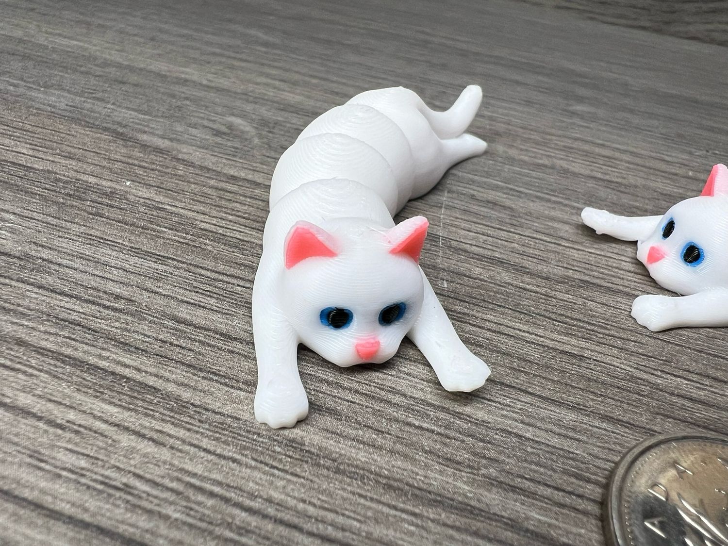 Articulating White Cat