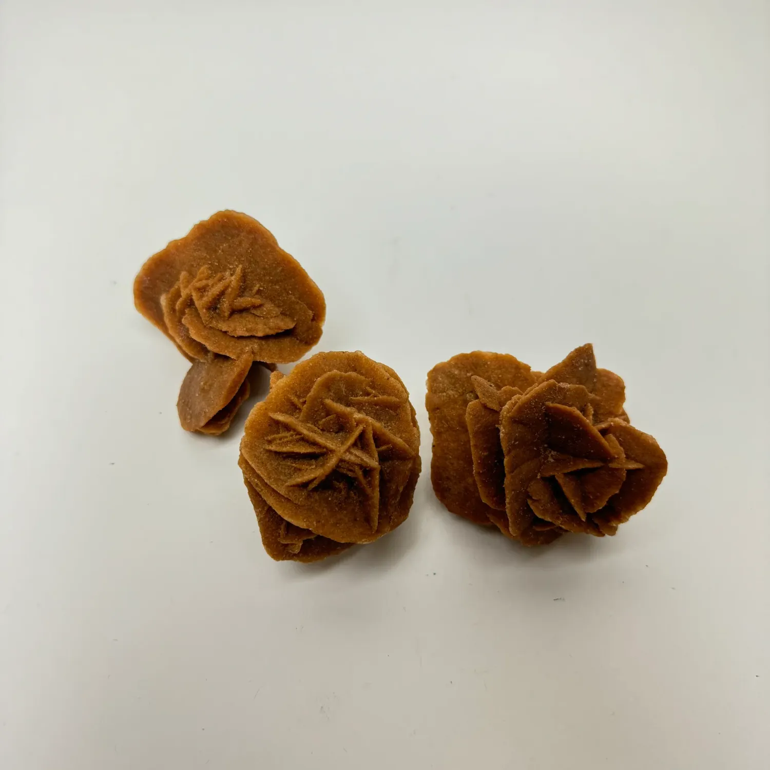 Desert Rose (Morocco) 6&quot;