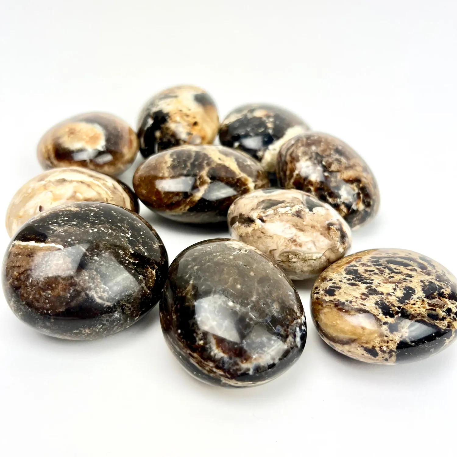 Black Opal Palmstone (Madagascar)