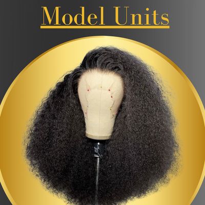 Model Units