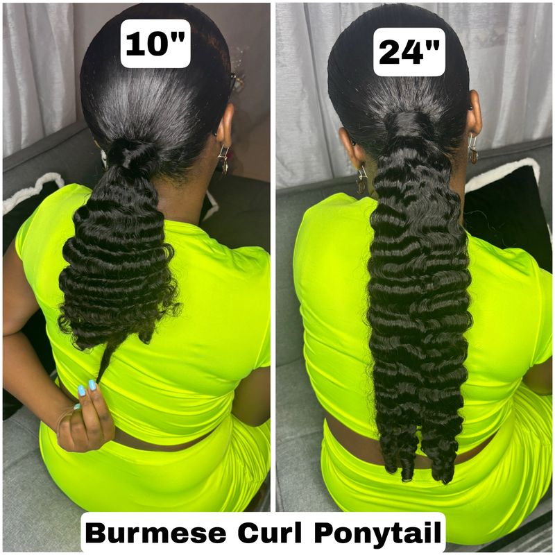 Burmese Curl Ponytail