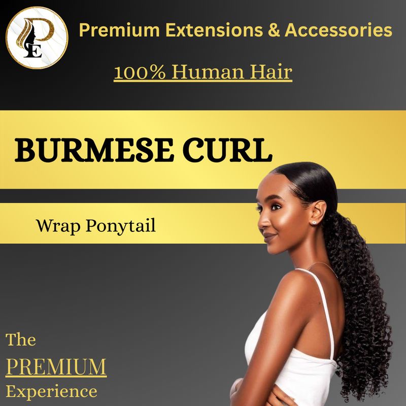 Burmese Curl Ponytail