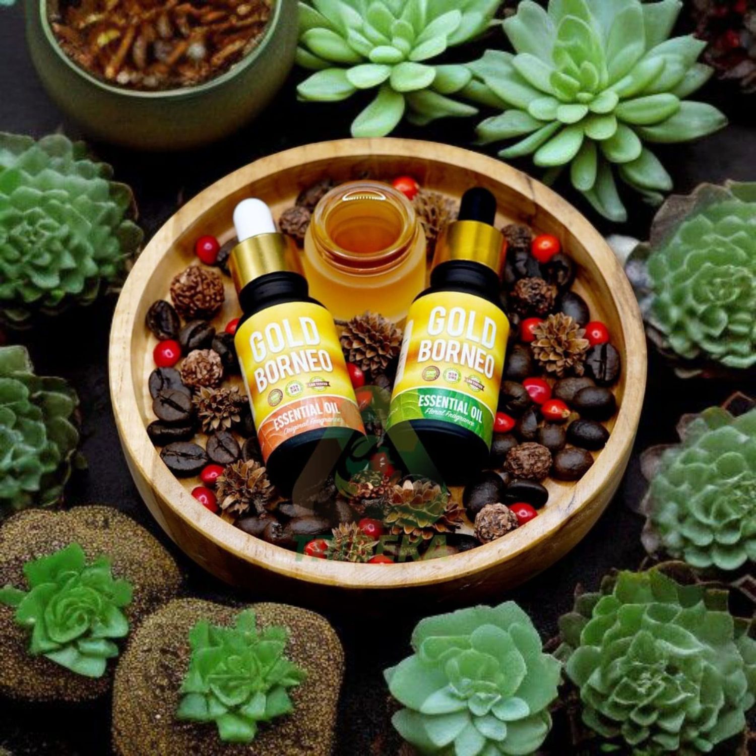 Kratom Tincture (Liquid) MIT 95