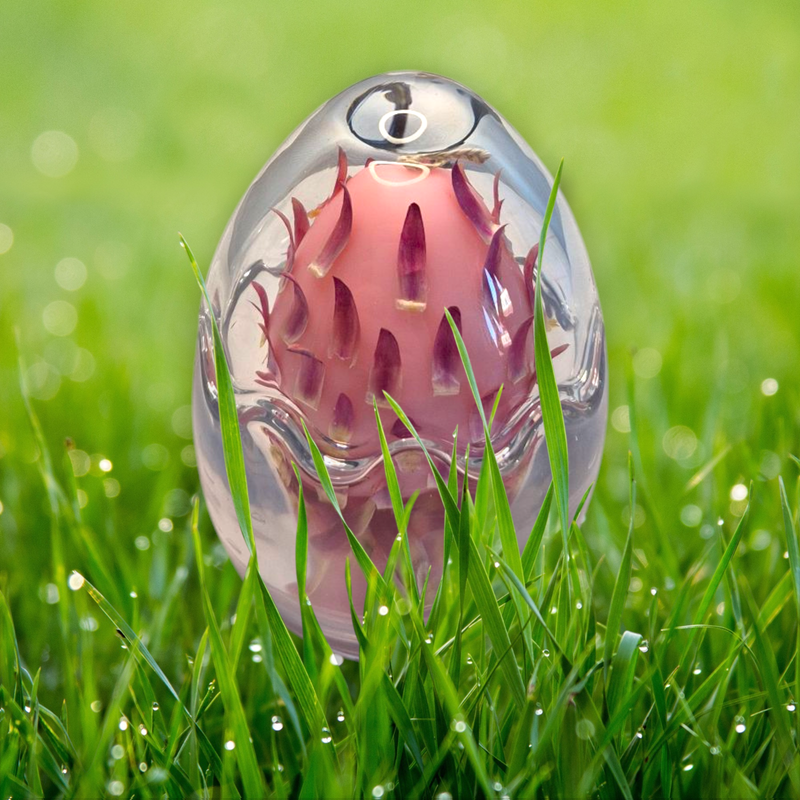 Pink Egg