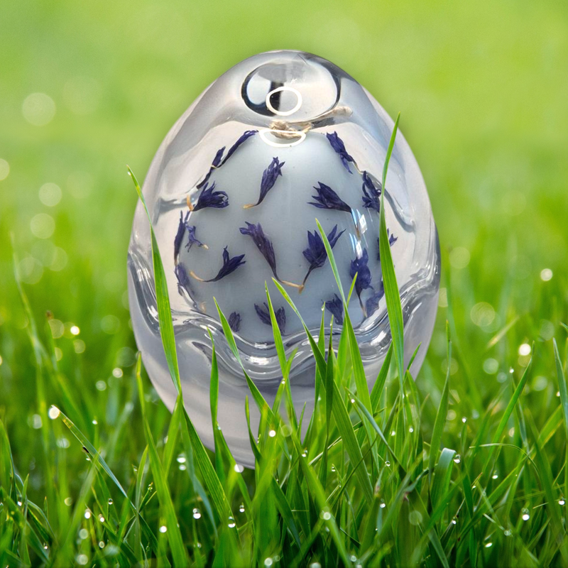 Blue Egg