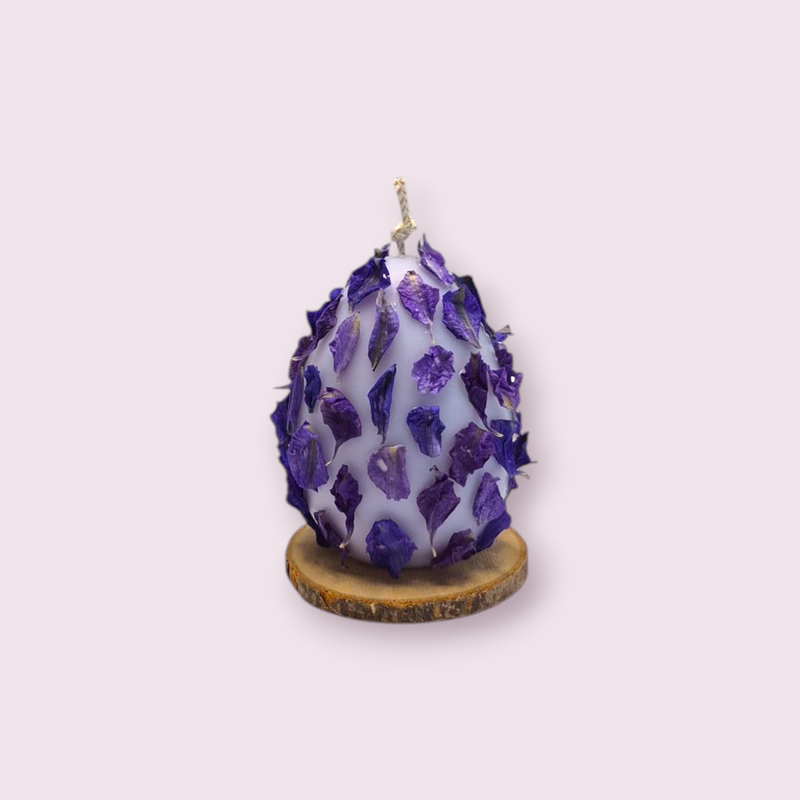 Viola