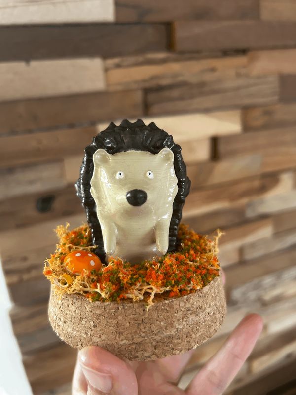 Hérisson tout mignon