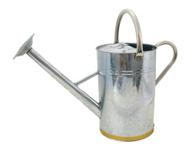 Kent &amp; Stowe K/S34910 Metal Watering Can Galvanised Steel 9 litre