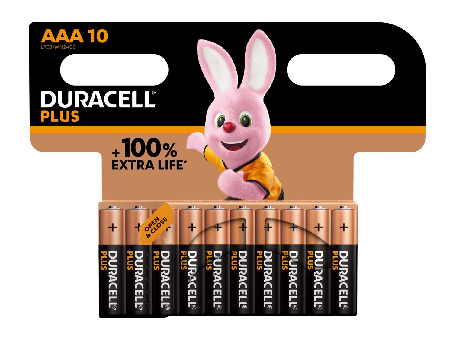 Duracell DURAAA100P10 AAA Cell +100% Plus Power Batteries (Pack 10)