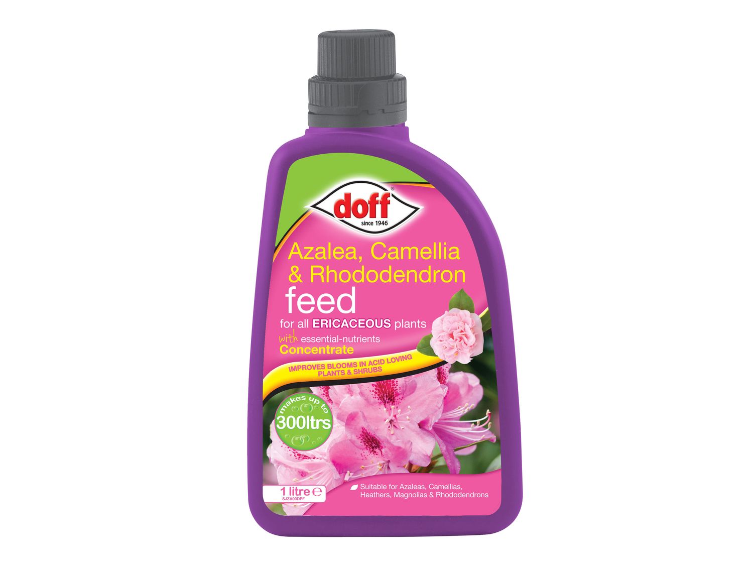 DOFF DOFFJZA00DOF Azalia, Camellia, Rhododendron Feed Concentrate 1 litre